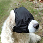 NACOCO calming cap buckle mechanism close up for easy pet wearability