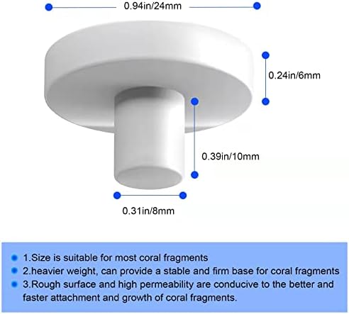 Close up view of the T shaped stem design on Saricho coral plugs.