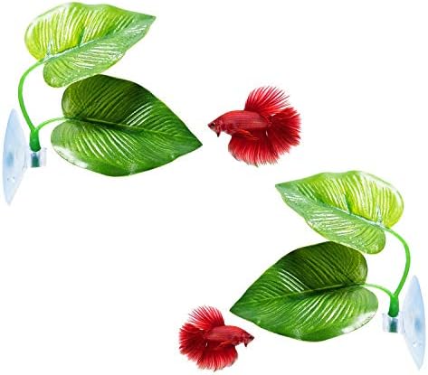CousDUoBe aquarium leaf hammock attached to glass tank wall