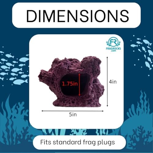 Ocean Aquaria coralline purple live coral frag holder showing stable bottom base