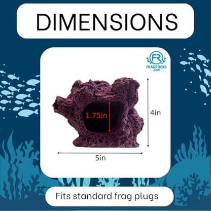 Ocean Aquaria coralline purple live coral frag holder showing stable bottom base