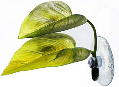 Haulonda aquarium leaf pad attached to glass via suction cup close up