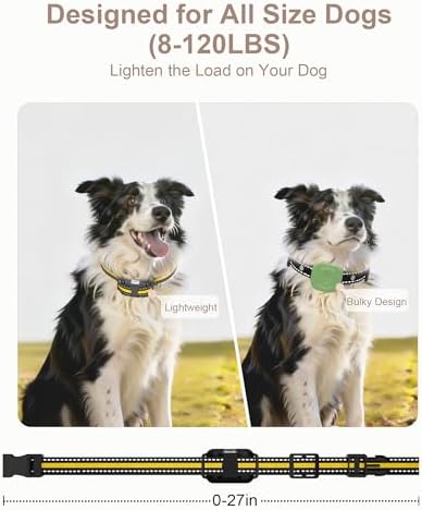 Complete rechargeable pet training kit with multiple shock and vibration levels.