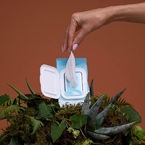 Travel friendly resealable pack of The Honey Pot Company sensitive daily wipes.