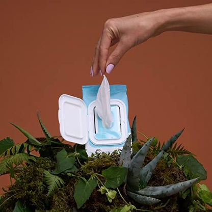 Travel friendly resealable pack of The Honey Pot Company sensitive daily wipes.