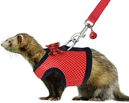 Rypet soft mesh padded vest for small pets