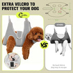 Dog grooming station with hammock and no-sit holders
