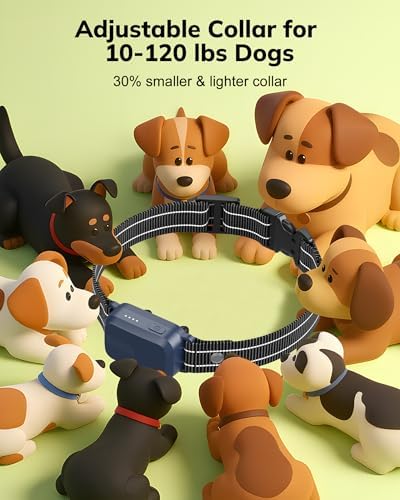 HapTop remote dog training kit showing all included accessories and charging cables.