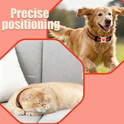 Subscription free GPS tracking collar for active dogs and cats