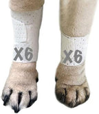 PawFlex Basic Leg Bandages Medium 12-Pack front packaging view