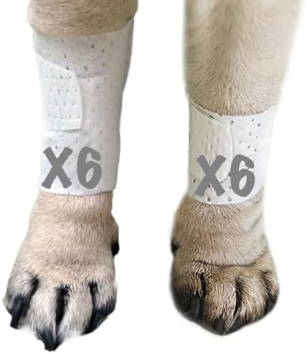 PawFlex Basic Leg Bandages Medium 12-Pack front packaging view