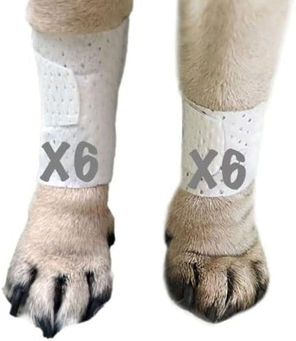 PawFlex Basic Leg Bandages Medium 12-Pack front packaging view