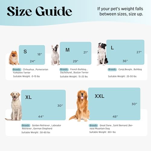 LE SURE blue summer pet mat placed inside an extra large kennel.