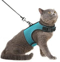 Pupteck soft mesh cat vest harness front view lake blue escape proof pet vest