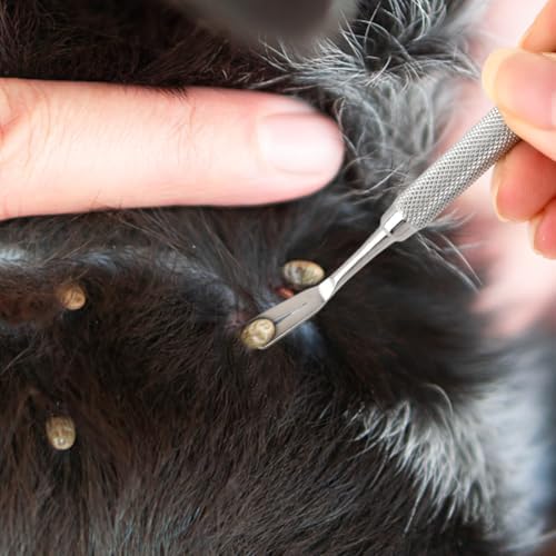 Educational image showing how to use tick removal tools on pets