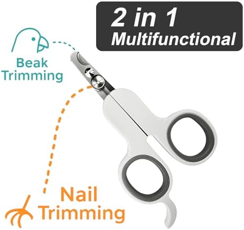 Close-up of the dual-function bird clipper showing the rounded and flat edge blades