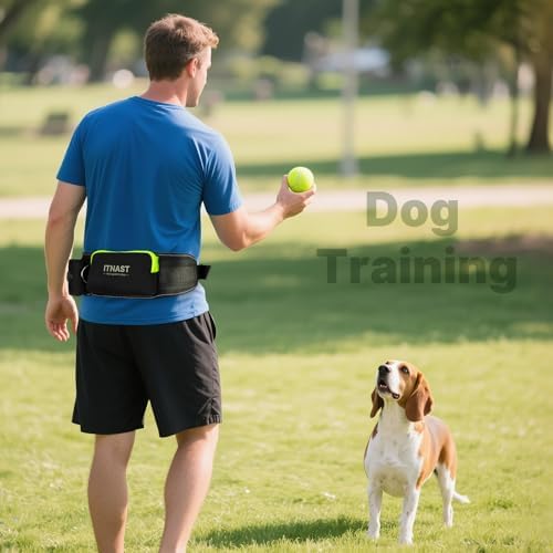 ITNAST hands free dog leash kit with all components laid out including pouch and bungee lead.