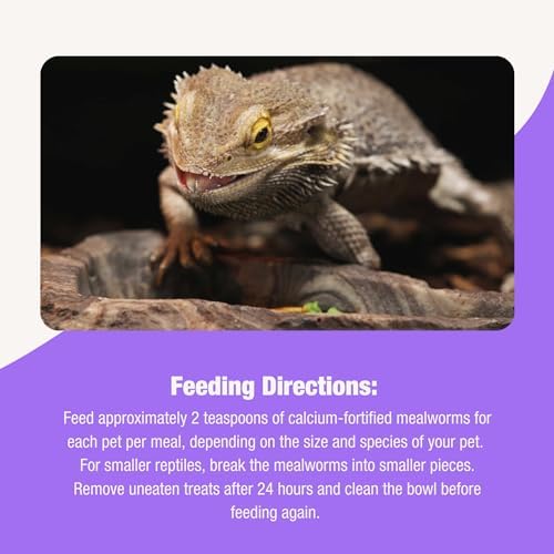 Three ounce resealable bag of reptile mealworm treats