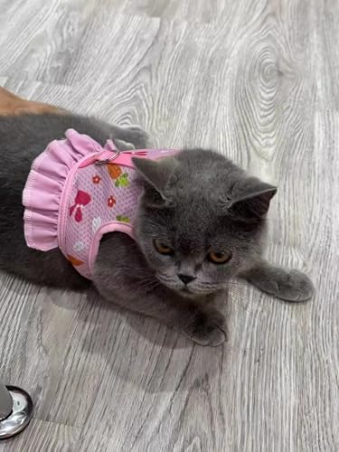 Hotlion rabbit vest and leash package containing one piece of pink walking gear
