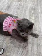 Hotlion rabbit vest and leash package containing one piece of pink walking gear