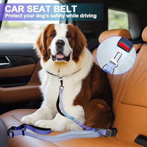 Multipurpose dog training leash with padded handles