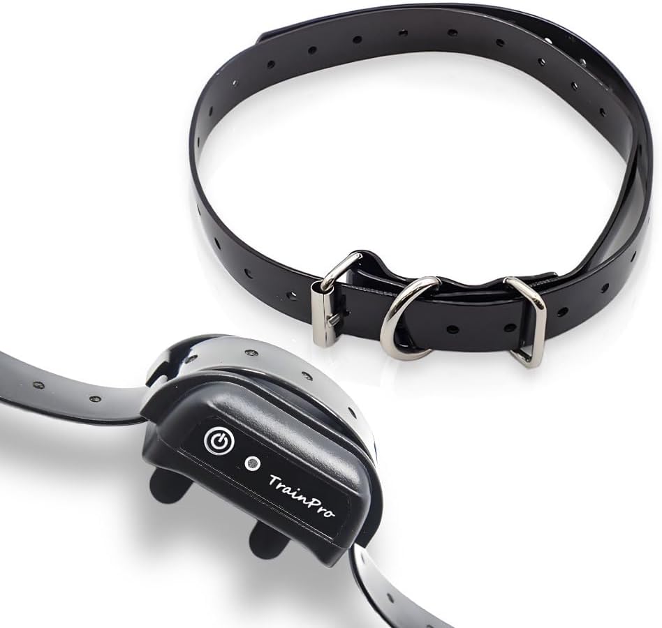 EveryPet universal replacement dog training collar strap front view