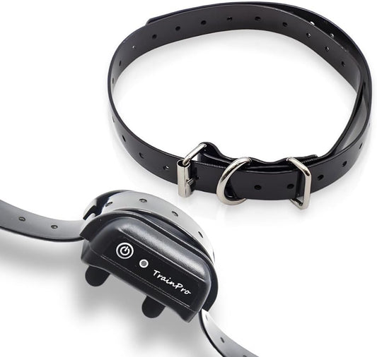 EveryPet universal replacement dog training collar strap front view