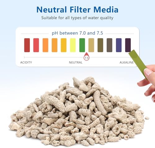 Eco friendly natural coral stones for plant pot decorations