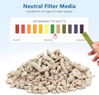 Eco friendly natural coral stones for plant pot decorations