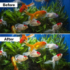 Aquarium maintenance supplies pack of sixteen large filter refills