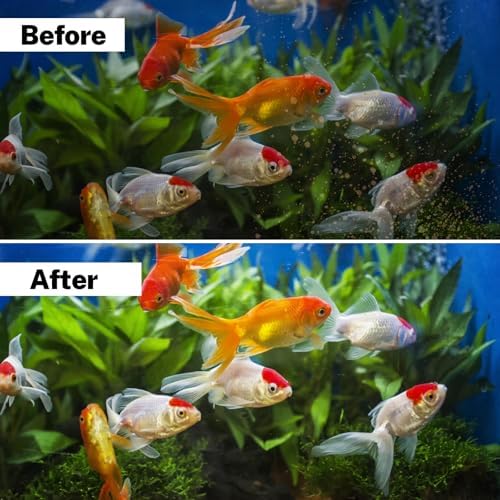 Aquarium maintenance supplies pack of sixteen large filter refills