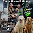 Rechargeable pet correction collar showing the included USB charging cable setup.