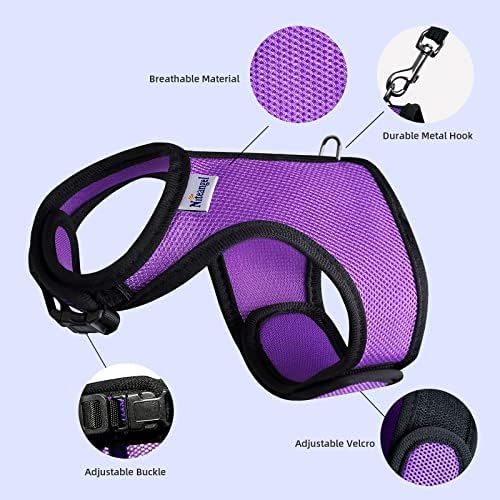 Niteangel rabbit harness showing breathable padded mesh material
