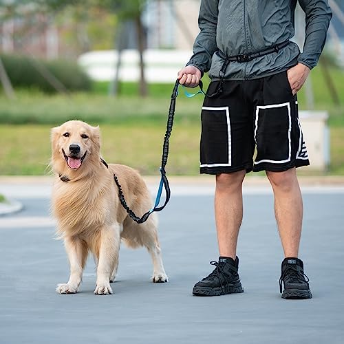 Iyoshop dog leash set for running and hiking