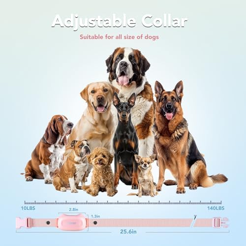 Dog wearing a comfortable black Patpet training collar