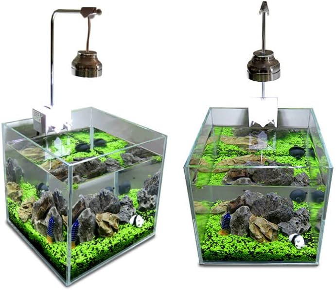 Aquascaping setup showing sprouted live mini leaf carpet plants in fish tank soil