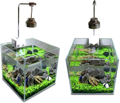 Aquascaping setup showing sprouted live mini leaf carpet plants in fish tank soil
