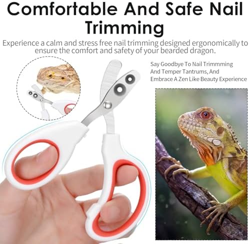 Quilax premium lizard nail clipper shown alongside a bearded dragon tank setup.