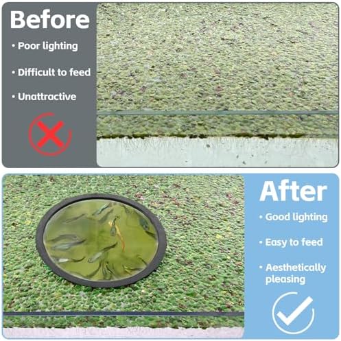 Aquarium setup showing floating plant corral protecting vegetation from filter current