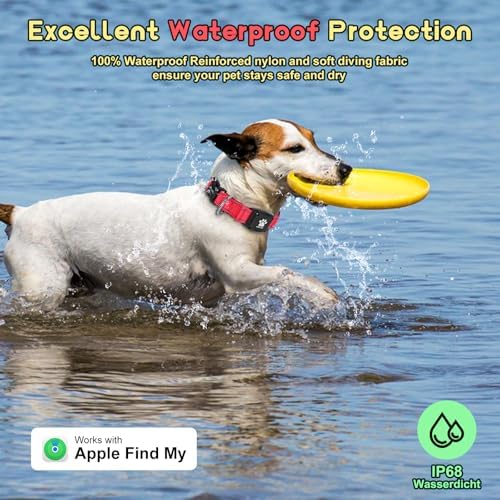 Medium size Myiwb smart dog collar with secure quick-release safety buckle close up