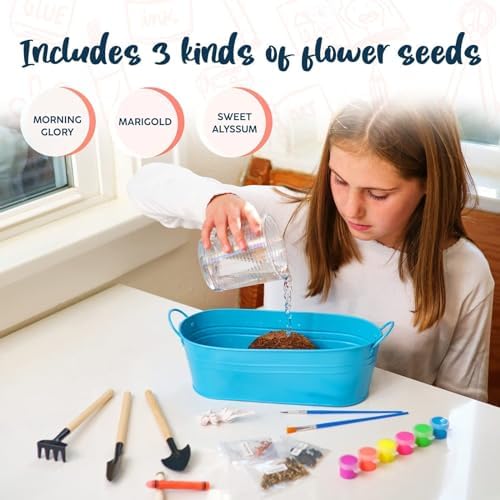 Children planting the seeds inside the nine inch by six inch blue plastic garden dome
