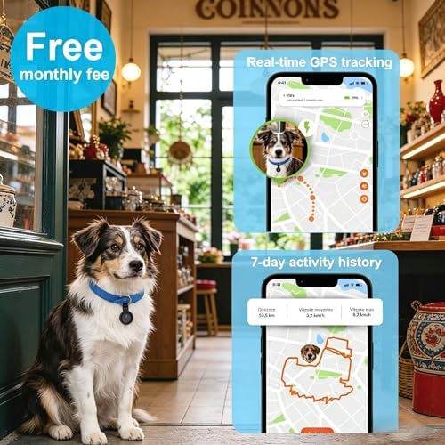 Joygiee lightweight satellite positioning dog tracker worn by a small pet during outdoor yard playtime.