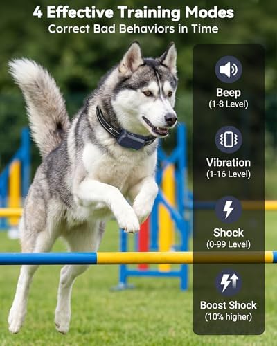 Jugbow electronic e-collar receiver showing waterproof design and contact points