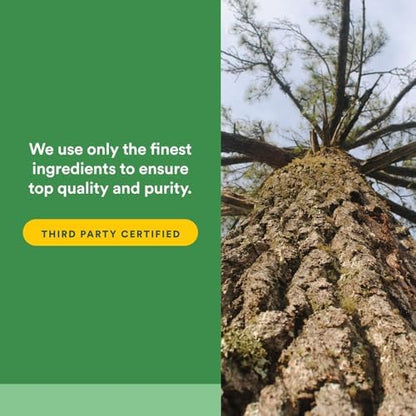 Natural Factors pine bark extract supplement for skin elasticity and cardiovascular circulation support