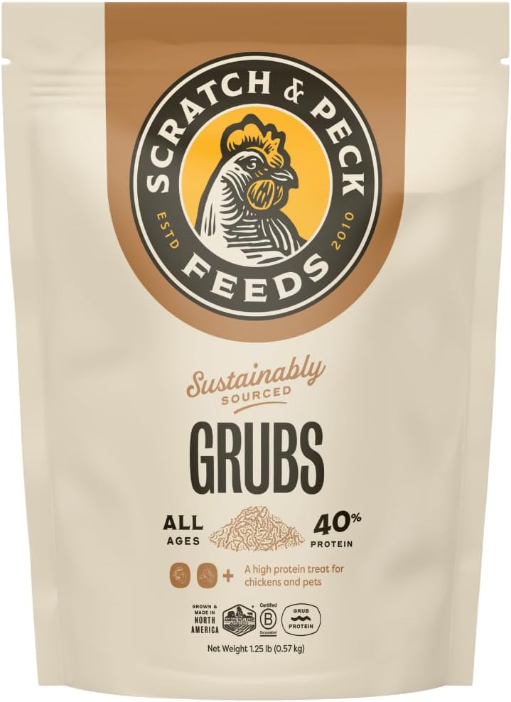 Healthy backyard poultry eating sustainable insect protein treats