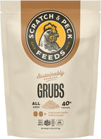 Healthy backyard poultry eating sustainable insect protein treats