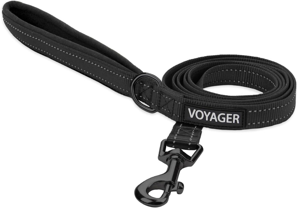 Best Pet Supplies Voyager Reflective Dog Leash or Collar with Neoprene Handle, for Small, Medium, and Large Breed Puppies, Cute and Heavy Duty for Walking, Running and Training - Baby Blue (Leash), S - Image 15