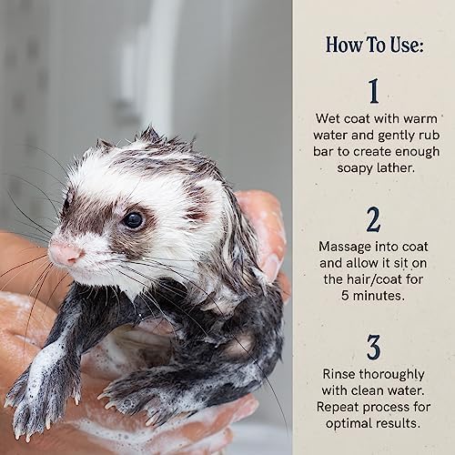 Eco friendly biodegradable small animal shampoo liquid consistency view