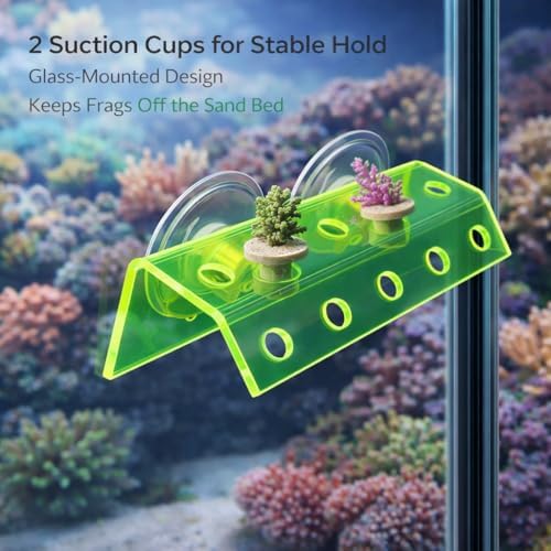 Kcrygogo fish tank coral mount highlighting double suction cups