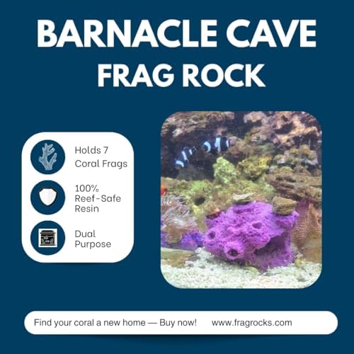 Ocean Aquaria barnacle fish hideout cave close up view highlighting natural texture